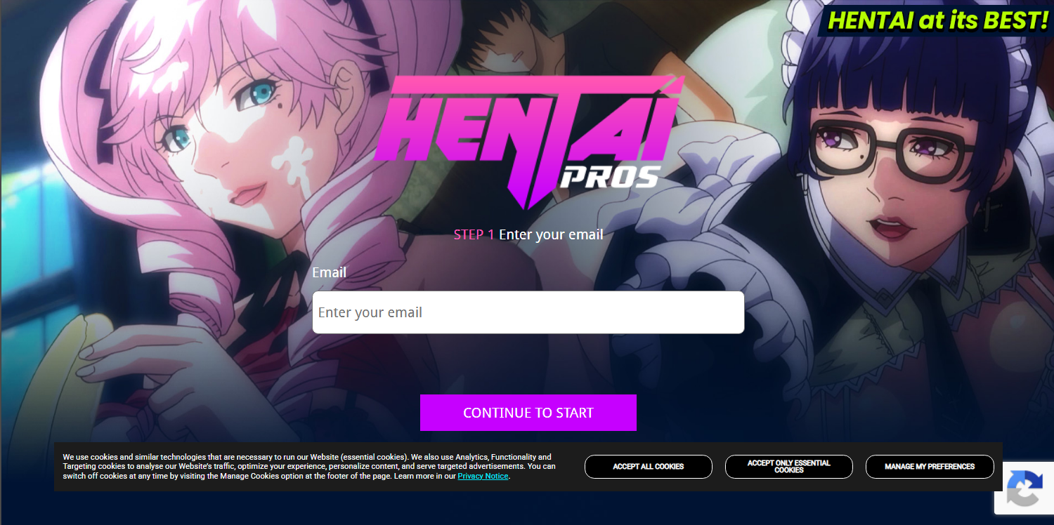 Aperçu Hentai Pros Network