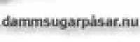 Dammsugarpasar - SE Logo