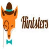 HintstersSurveys - NL