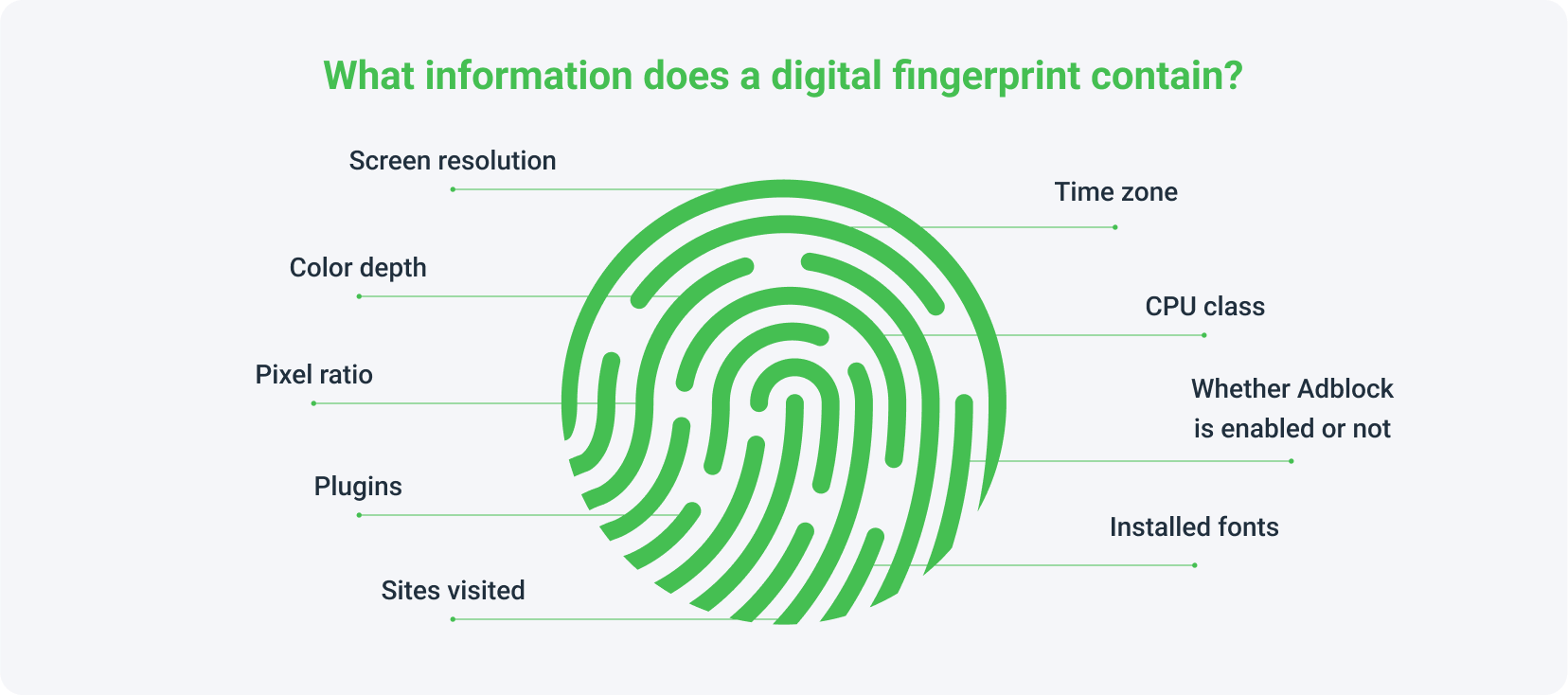 What information does a digital fingerprint contain?
